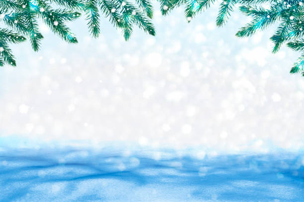 istock Christmas card with fir branches 1159370510