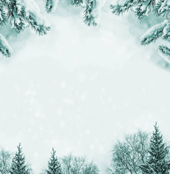 istock Christmas card with fir branches 1159370575