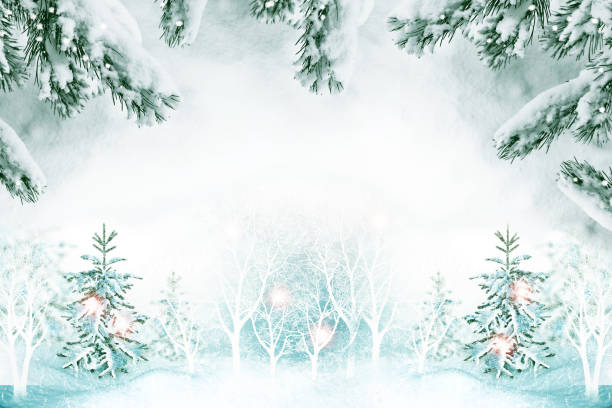istock Christmas card with fir branches 1159370583