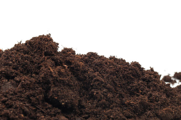 istock pile of soil isolated on white background - Image 1159372150