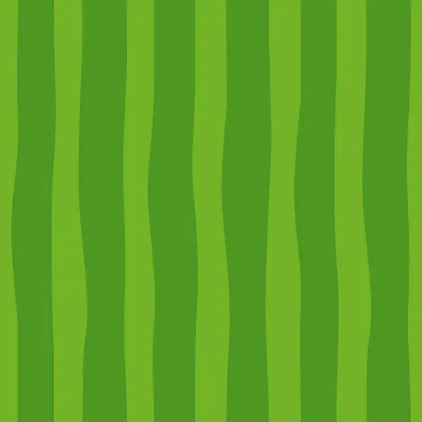 Vector illustration of Abstract seamless pattern of smooth vertical green lines, watermelon texture.