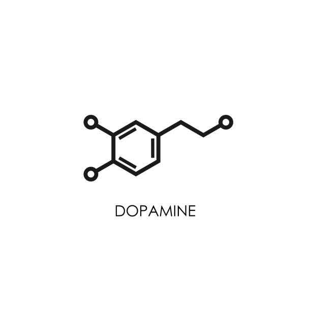 Dopamine molecular structure. neurotransmitter molecule. Skeletal chemical formula. Dopamine molecular structure. neurotransmitter molecule. Skeletal chemical formula. Hormone of happiness and joy. Vector line illustration isolated on white dopamine stock illustrations