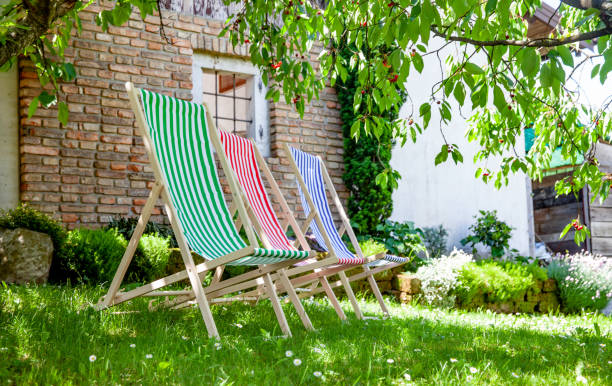 istock Chairs in Backyard in the Shade 1159373390