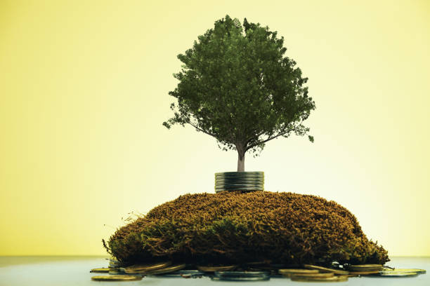 istock Money tree on a beautiful blue background. 1159373679