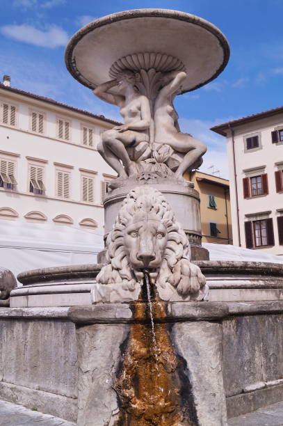 istock Naiadi fountain, Empoli 1159374063
