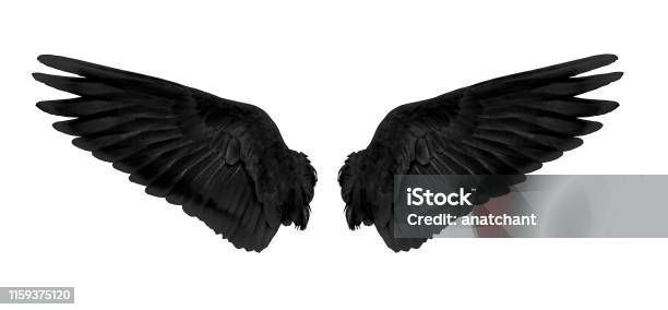 Black Wings Isolated On White Background Stock Photo - Download Image Now - Animal Wing, Black Color, Crow - Bird