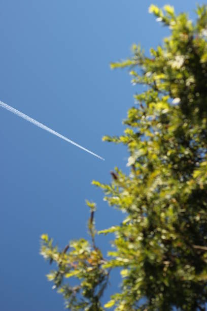 istock clear white jet stream following a large plane across the clear blue sky on a spring day as it leads towards a lush green leafy tree, rural New South Wales, Australia 1159375351