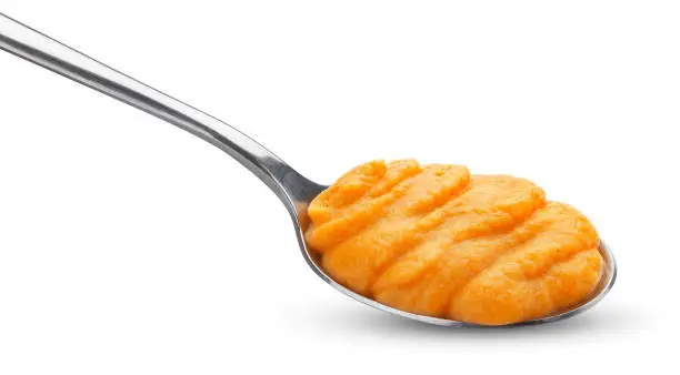 Pumpkin and carrot baby puree in spoon isolated on white background with clipping path