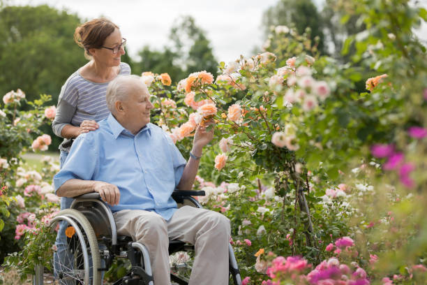 home caregiver and senior man on a wheelchair, walking outdoors - wheelchair disabled senior adult female nurse imagens e fotografias de stock