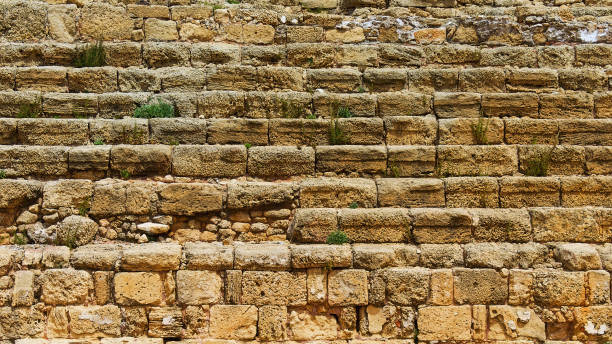 istock Background of ancient limestone wall with sprouted plants 1159376610