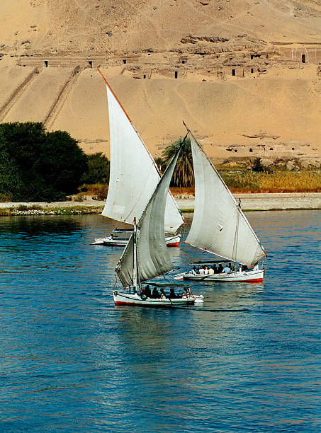 istock Sailing felucca boats 115937747