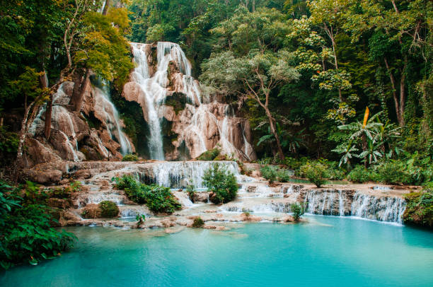 istock Blue turquoise water pond Kuang Si waterfall. Luang Prabang, Laos 1159377896