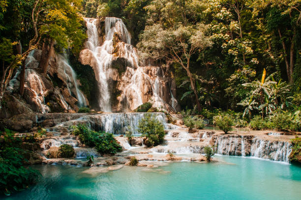 istock Blue turquoise water pond Kuang Si waterfall. Luang Prabang, Laos 1159377899