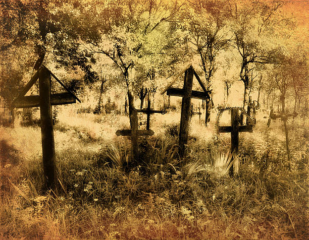 old cemetery photo wood crosses