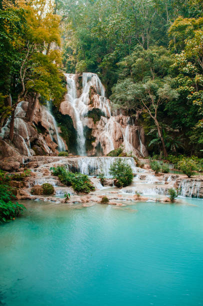 istock Blue turquoise water pond Kuang Si waterfall. Luang Prabang, Laos 1159377957