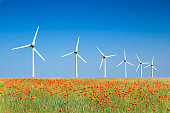 Graphic modern landscape of wind turbines aligned in a poppies field