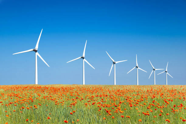 Graphic modern landscape of wind turbines aligned in a poppies field stock photo