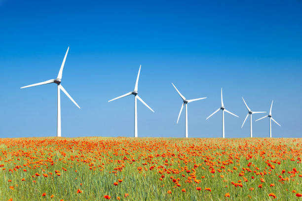 paisagem moderna gráfica das turbinas de vento alinhadas em um campo das papoilas - renewable energy alternative energy fuel and power generation horizontal - fotografias e filmes do acervo