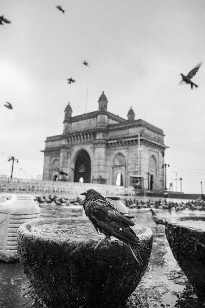 gateway of india, mumbai - vertical gateway to india famous place travel destinations fotografías e imágenes de stock