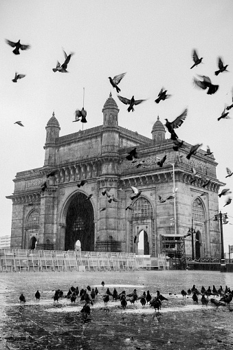 Photography, Mumbai, Famous Place, Tourism - Black and White Image of Pigeons flying around Gateway of India, Mumbai