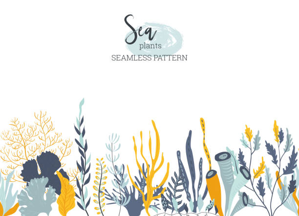 illustrazioni stock, clip art, cartoni animati e icone di tendenza di modello vettoriale senza soluzione di continuità con piante sottomarine di barriera corallina oceanica - seaweed sea pattern green