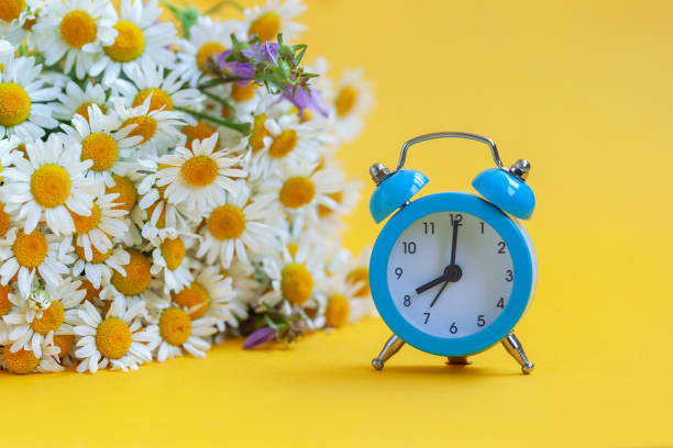 istock Blue alarm clock on yellow background with bouquet chamomile. 1159380590