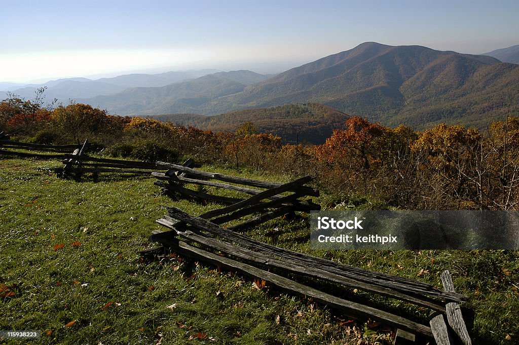 Cresta blu della Virginia - Foto stock royalty-free di Virginia - Stato USA