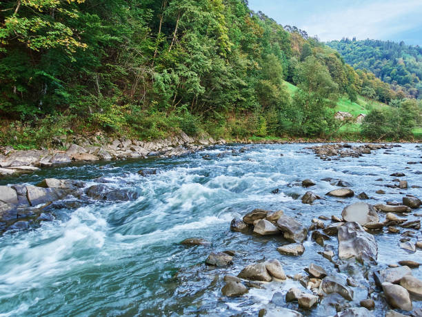 istock Mountains with forests and river. Carpathian Mountains 1159382729