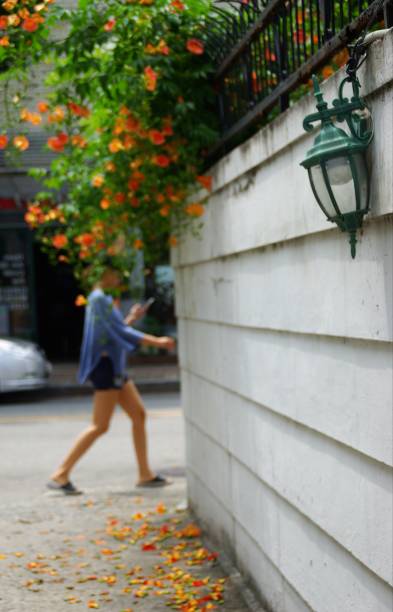 istock Alley with flowers 1159384739