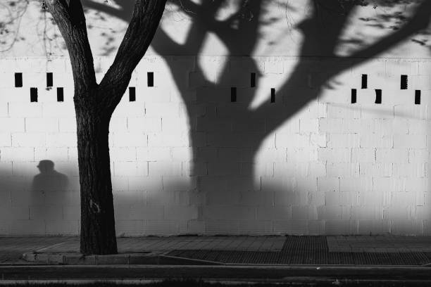 Under the shade of the tree