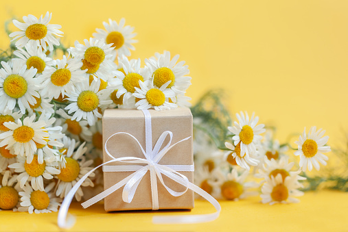 Chamomile flowers and gift or present box on yellow background. Mothers Day, Birthday, Valentines Day, Womens Day, celebration concept.