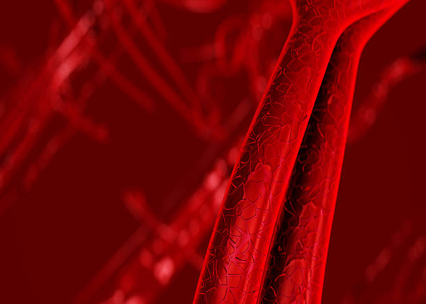 istock Blood arteries and veins 115938618