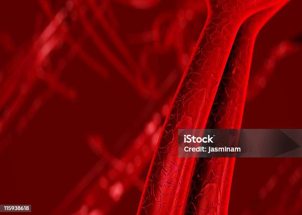Крови Артерий И Вен — стоковые фотографии и другие картинки Venule - Venule, Анатомическое вещество, Анатомия