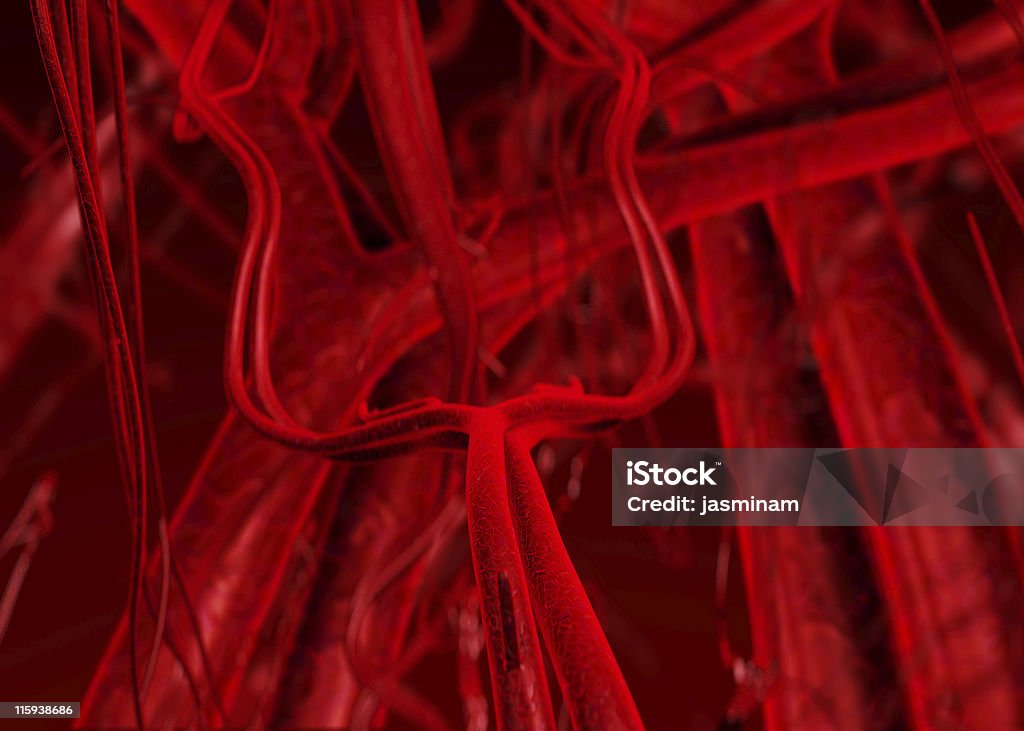 Sangue nelle arterie e vene - Foto stock royalty-free di Anatomia umana