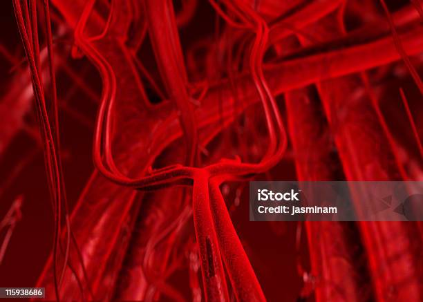 Sangue Nelle Arterie E Vene - Fotografie stock e altre immagini di Anatomia umana - Anatomia umana, Arteria, Arteria umana