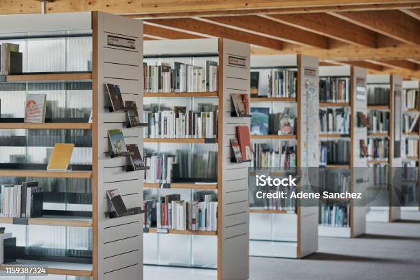 Quiet Libraries Are The Best Stock Photo - Download Image Now - Library, Book, University