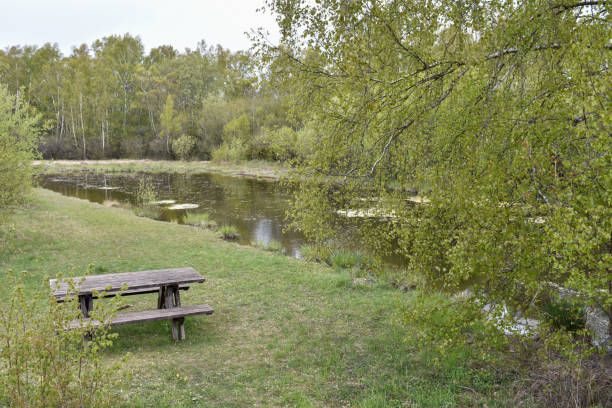 istock Springtime view with wooden furnitures by a pond 1159389024