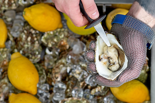 Chef shucking a fresh oyster with knife and stainless steel mesh oyster glove. Close up