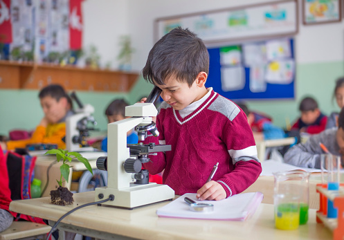 student examines plants with microscope at the classroom