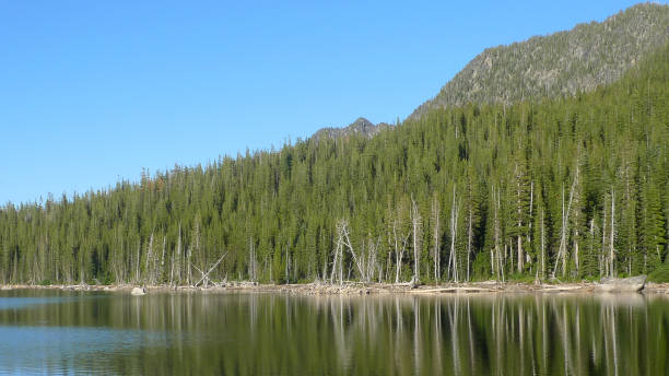 istock Snow Lakes, The Enchantment Lakes Trail 1159390885