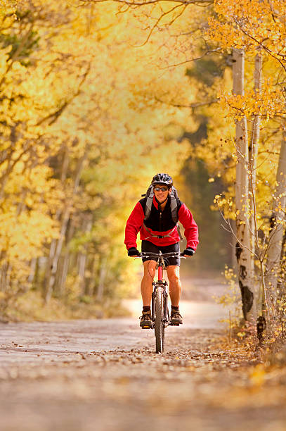 bicycling árvores no outono aspen - mountain biking colorado action cycling imagens e fotografias de stock