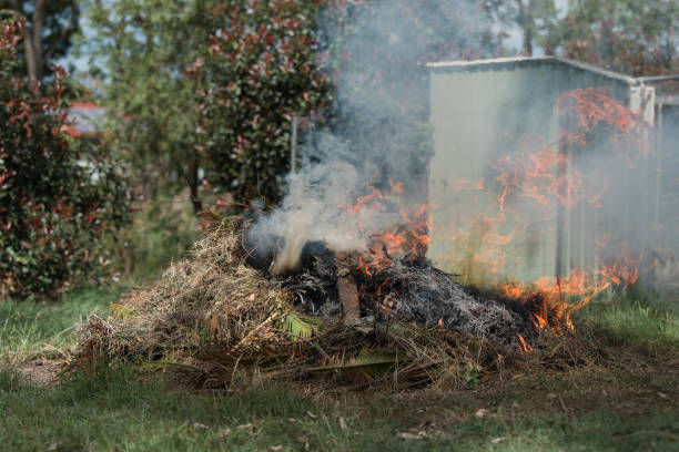 istock Fire controlled burn off of garden waste 1159394337