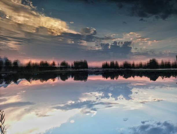 The different lengths of trees and the reflection in water looks like the voice of someone that saying how much you love.