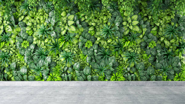 fond vert de mur de feuilles et de plantes sur le plancher en béton gris - brush fence photos et images de collection