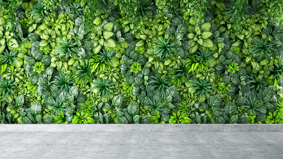 Green Leaves and Plants Wall Background on Gray Concrete Floor. 3D Render