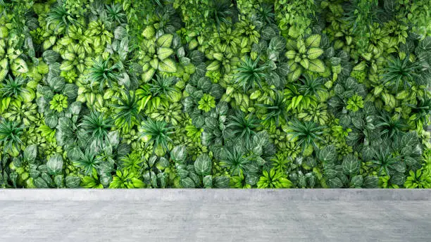Green Leaves and Plants Wall Background on Gray Concrete Floor. 3D Render