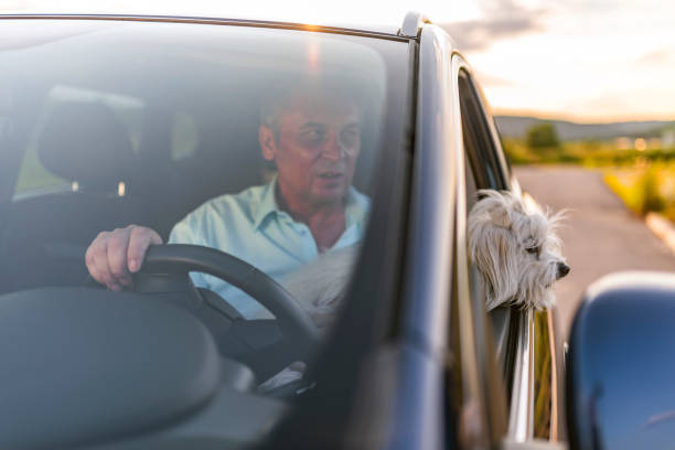 istock Looks like we're here, boy 1159396934