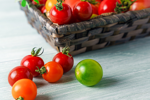Fresh tomatoes isolated on wooden background. Harvesting tomatoes.