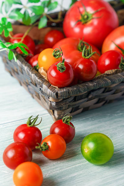 istock Fresh tomatoes isolated on wooden background. Harvesting tomatoes. 1159397195