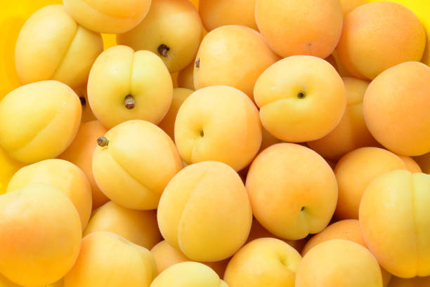 istock Ripe juicy orange apricots fruit background. 1159397649
